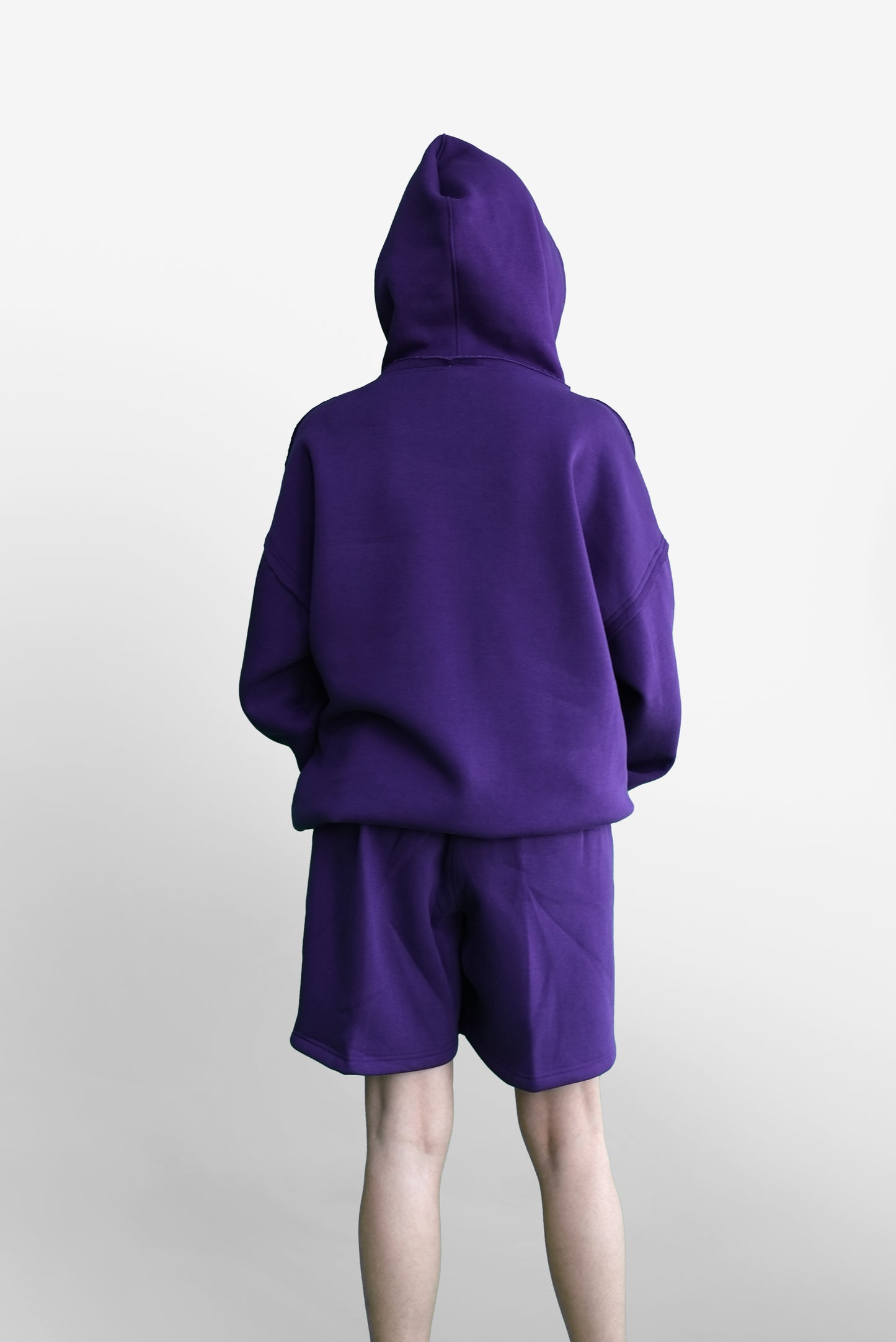 Purpled Unus Imaginari Hoodie - Back